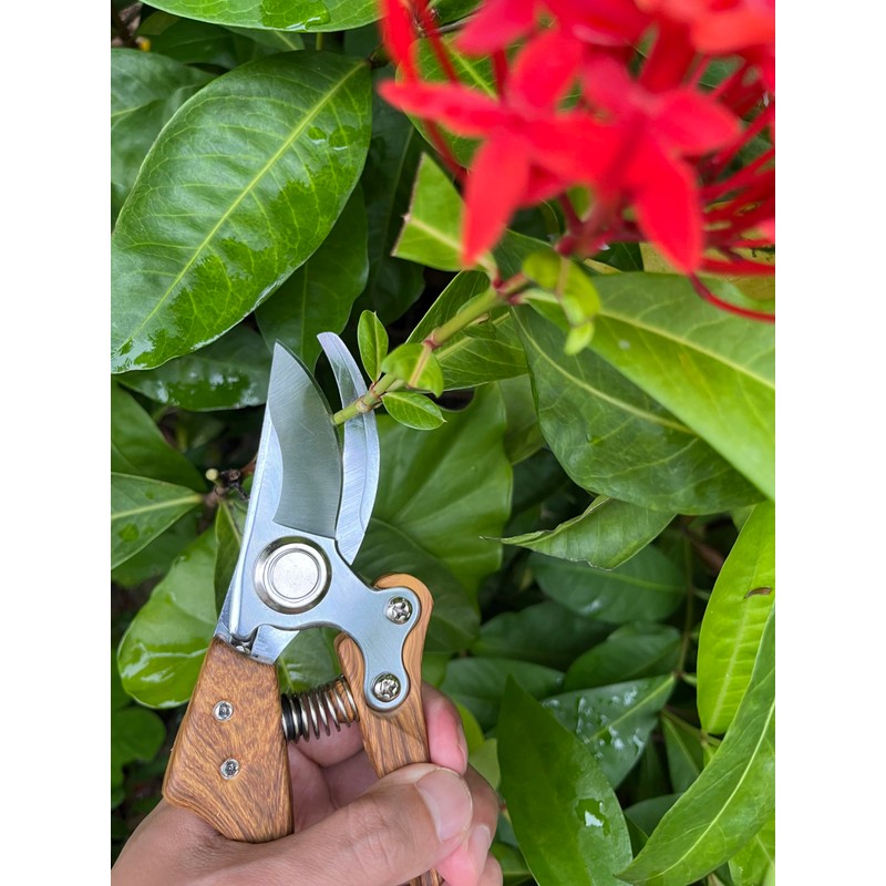 Pruning Shears, Flower Cutters for Stems, German Stainless Steel Blades,