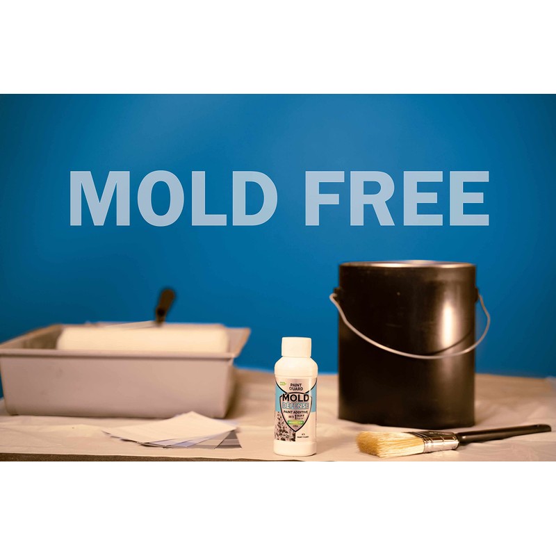 Paint-Guard Mold and Mildew Defense Paint Additive (2 Gallon Treatment)