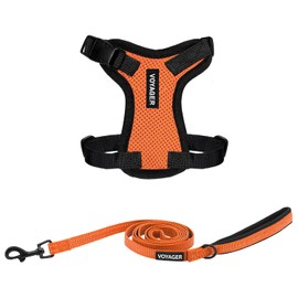 Voyager Step-in Lock Adjustable Cat Harness w. Cat Leash Combo Set with Neoprene Handle 5ft - Supports Small, Medium and Large Breed Cats by Best Pet Supplies - Orange/Black Trim, XXXS