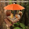 Carbonized Squirrel Feeder Picnic Table with Umbrella, Squirrel Feeders for