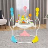 Dream On Me Zany 2-in-1 Activity Center and Bouncer in