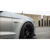 Mustang 2015 - 2021 Mustang Roush Badge - P51 Style