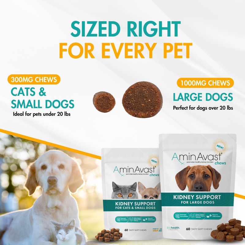 AminAvast Small Dogs & Cat Kidney Support - Promotes Healthy