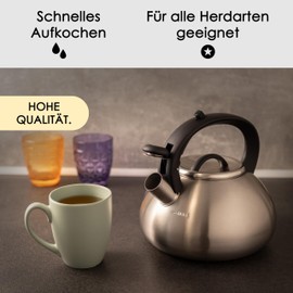 Hanseküche Kettle 2.3L Induction Gas Stainless Steel and Plastic Elegant Design Whistling