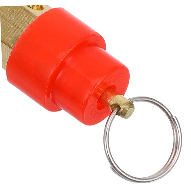 Hohopeti 2Pcs Safety Valve for Air Compressor Easy Installation Check