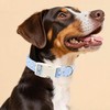 Summer Dog Collar, Blue Goose Puppy Collar Durable Soft Cotton