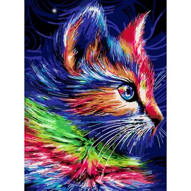AIRDEA Colorful Funny Cat Paint by Numbers Adult, Paint by Number Kits on Canvas with Brushes, Oil Hand Painting Art Crafts Kits for Adults, Home Decor 30x40CM