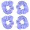 Zac's Alter Ego Set of 4 Value Velvet Hair Scrunchies