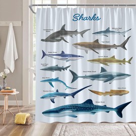 ZKJSMGS Shark Shower Curtain Ocean Themed Fish Marine Sealife Teens Various Sharks Blue Bathroom Home Curtain Decor with Hooks,70" Wx70 H