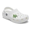 Crocs Green Squish Star, Jibbitz