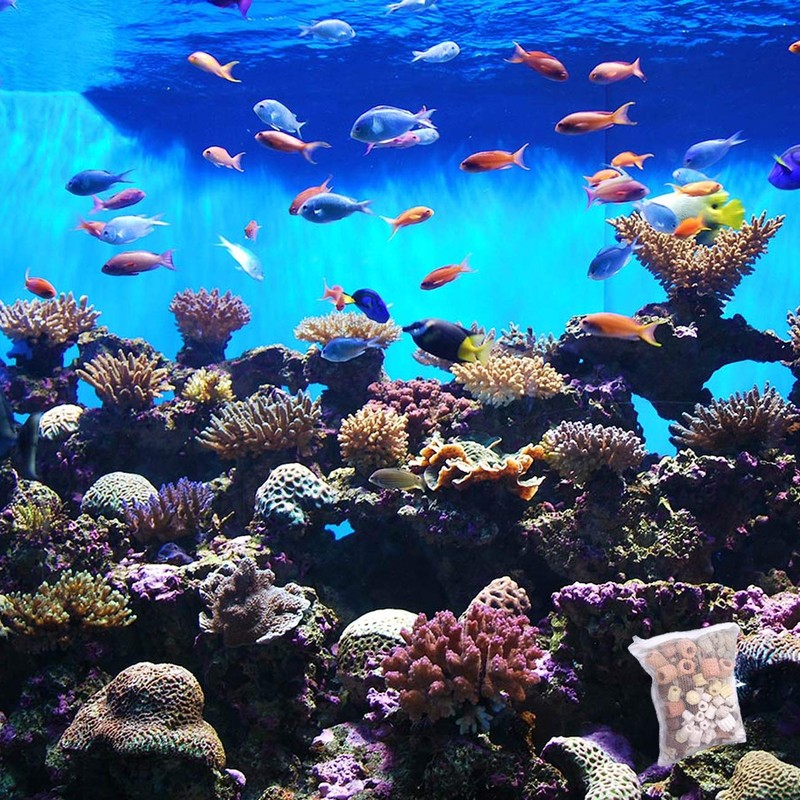 Pack of 10 Aquarium Filter Bags, Reusable Filter Bags with