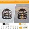 Monaxon Rustic Semi-Flush Ceiling Light, 9.1" Black Metal Fixture with
