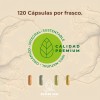 Raices Zen Magnesio Complex Suplemento Citrato Glicinato Gluconato 120 Cápsulas