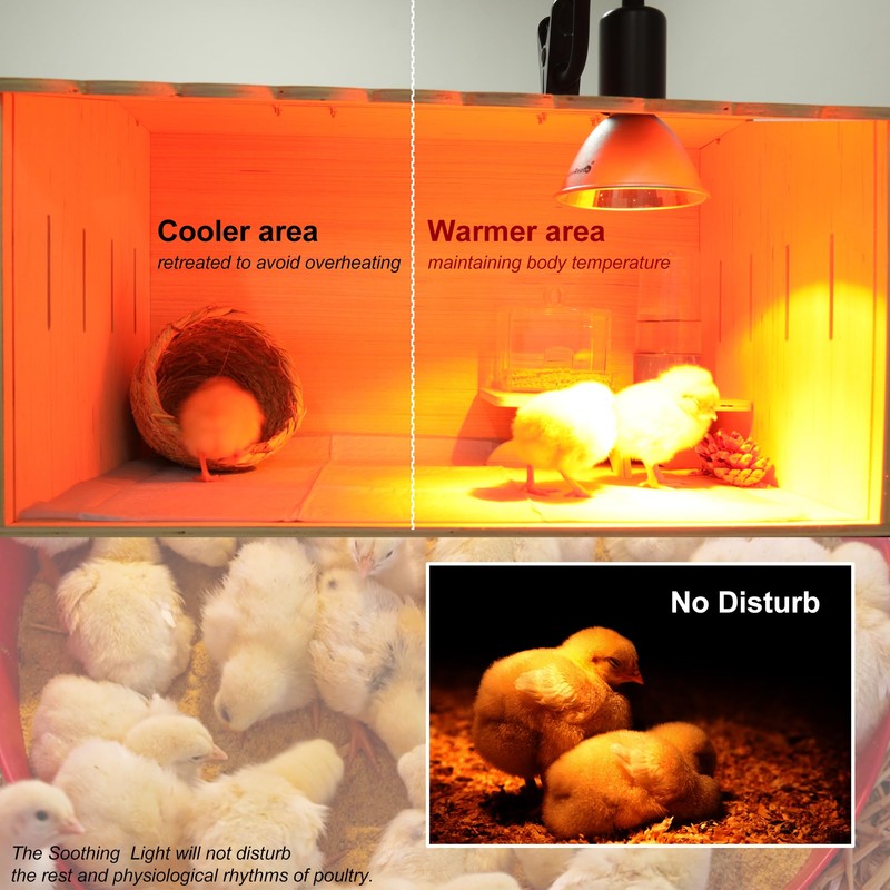 Heat Lamp for Chickens Coop Chick Brooder, Infrared Flood Light