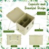 Maitys Seed Storage Container Box with Lid Garden Seed Packet