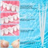DanTicy Brushpicks Interdental Toothpicks,Soft Bristle Dental Floss Picks Toothpicks,Helps Removes