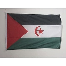 Western Sahara NAUTICAL Flag 18'' x 12'' - Sahrawi - Western Saharan flags 30 x 45 cm - Banner 12x18 in for boat - AZ FLAG