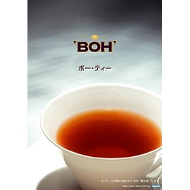 Cameron Highlands Premium Tea Boh Beautie Lychee Rose (1 Box, 20 Tea Packs, Lychee with Rose)