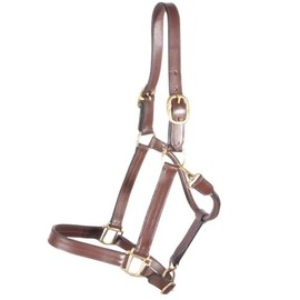 Dura-Tech Premier Belmont Leather Halter for Horses | Triple-Stitched Buffalo Leather with Adjustable Fit & Durable Brass Hardware | Size Full Size