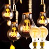 Sevici A19 Edison Light Bulb,E26 Incandescent Light Bulbs 60W Antique
