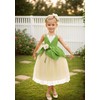 MDYCW Princess Tiana Costume for Girls, Birthday Party Fairy Dress