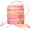 C.E. Pattberg Raffia Ribbon