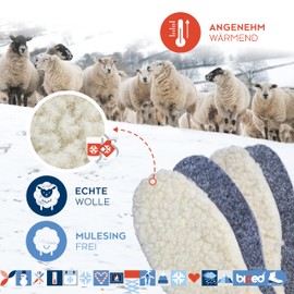 Biped 2 Pairs of Extra Thick Wool Soles Made of Lambswool and Felt z1004 (EU 44)