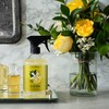 Caldrea Multi-surface Countertop Spray Cleaner, Made with Vegetable Protein Extract,