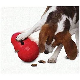 KONG Wobbler juguete para perro, peque o 5 pulgadas