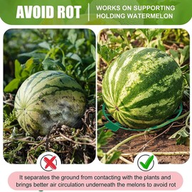 Focket 10 Pack Melon Cradle, Pumpkin Support, Strawberry Supports, Avoid Reusable Melon Supports for Watermelon, Pumpkin, Melon, Pumpkins