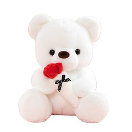 RANZAH Teddy Bear Plush Toy, Stuffed Cudly Bear, Fluffy 25 CM Toy Bear gift for girls and Boys (White)