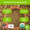 ZESTIGREENS Organic Cat Grass Seeds - Non-GMO Blend of Wheat,