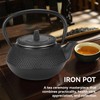 Cast Iron Teapot with Infuser, 10.14oz Cast Iron Teapot Tea