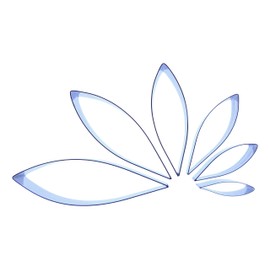 Dahlia Cutter Set -Type 1 (Set of 6) Ruscus, Pointed Oval, Teardrop, Stainless Steel - Petal Flower