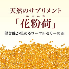 Yamada Beekeeba, Pollen, 7.1 oz (200 g) Bag, Pollen, Vitamin, Mineral Supplement, Powder