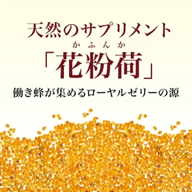 Yamada Beekeeba, Pollen, 7.1 oz (200 g) Bag, Pollen, Vitamin, Mineral Supplement, Powder