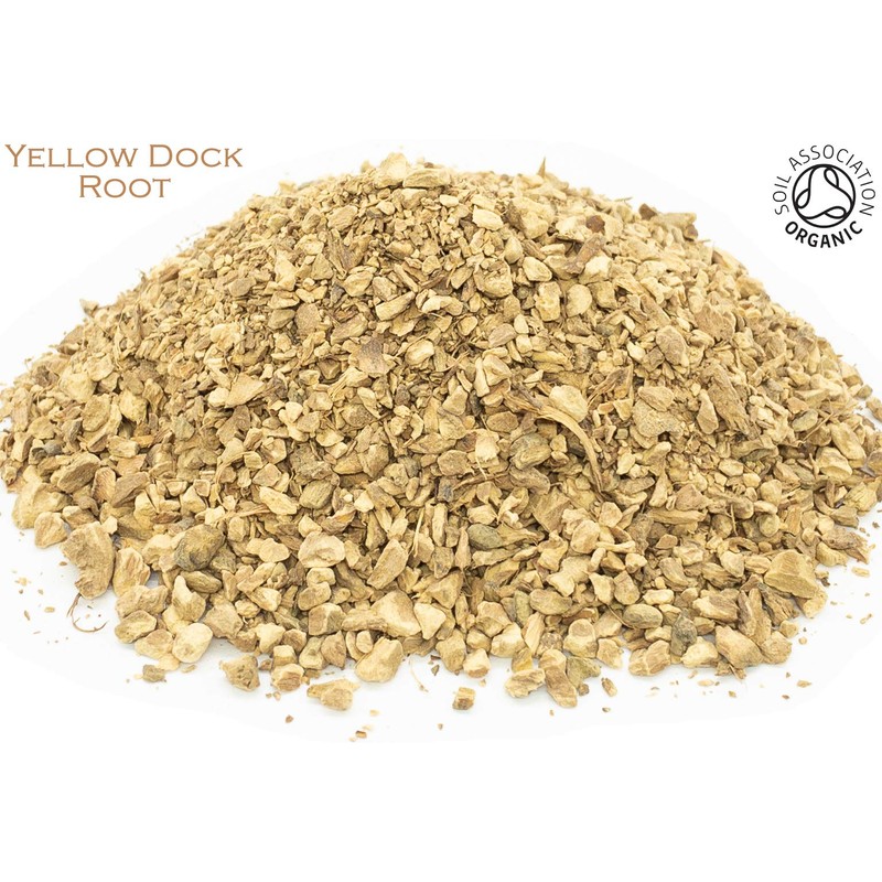 Organic Yellow Dock Root Pure Herbal Infusion (25 Unbleached Tea