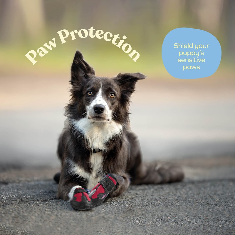 Waterproof Dog Shoes - Stylish Designed Shoes for Dogs -