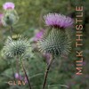 Organic Milk Thistle & Artichoke Extract Complex High Strength -
