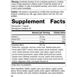 Standard Process Ferrofood Whole Food Antioxidant, Healthy Blood and Hemoglobin