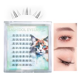 Lashidol Lower False Eyelashes, Bundled Eyelashes, For Partial False Eyelashes, Partial False Eyelashes, Partial False, Natural, Popular, DIY, Handmade, Natural Fox Series Eye Makeup (KittenLash02)