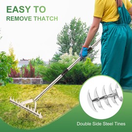 62" Thatch Rake, 15-Inch Lawn Thatching Rake with Adjustable Handle, 11 Curved Steel Tines Double-Sided Dethatching Rake for Cleaning Dead Grass, Metal Dethatcher Rake for Garden Yard Soil Rake