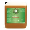 Shampoo Extracto Natural Romero Brillo Y Suavidad (5 Litros)