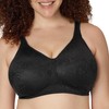 Playtex Brasier 18-Hour Ultimate Apoyo Ascensor y sin Cables, Color