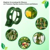 ARPON Plant Clips Professional Plant Support Accessories Multiuse Plant Support