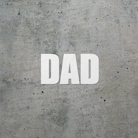 American Dad (White) (Set of 2) Premium Waterproof Vinyl Decal Stickers for Laptop Phone Accessory Helmet Car Window Mug Tuber Cup Door Wall Decoration - ANGsticd11754WH