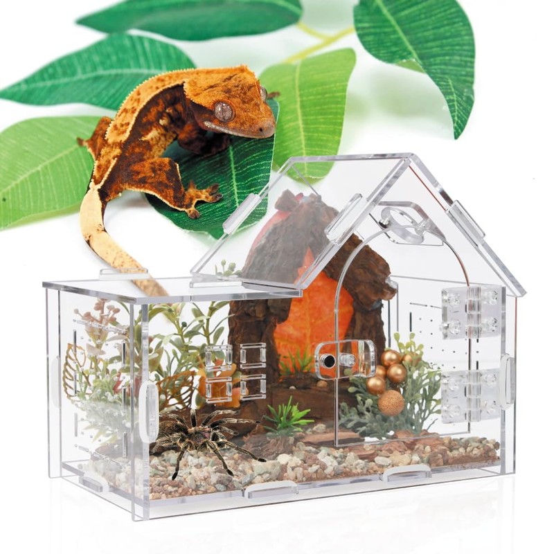 ZUIFIANLE Acrylic Jumping Spider Enclosure - Versatile Reptile Enclosure with
