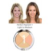 Christina Cosmetics Perfect Pigment 1 Compact – The One Minute
