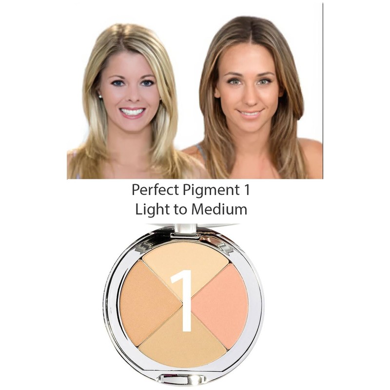 Christina Cosmetics Perfect Pigment 1 Compact – The One Minute