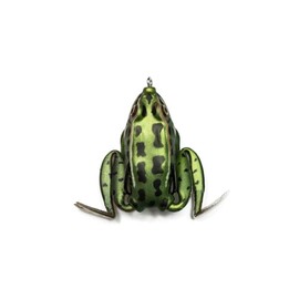 Lunkerhunt - Lunker Frog Lure | Topwater Fishing Lure with Realistic Swimming Legs, Best Bass Lure, Freshwater Trout Lure with Hollow Body (Green Tea)